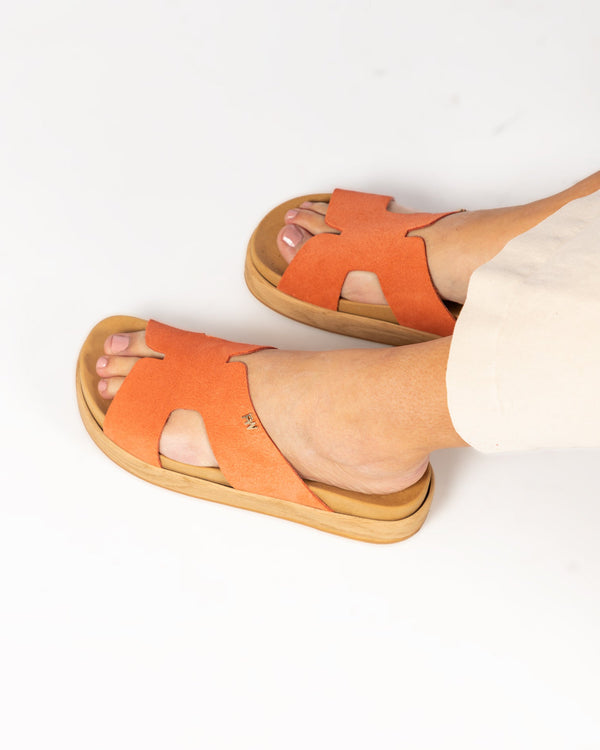 Corte: Arborius Gamuza Coral